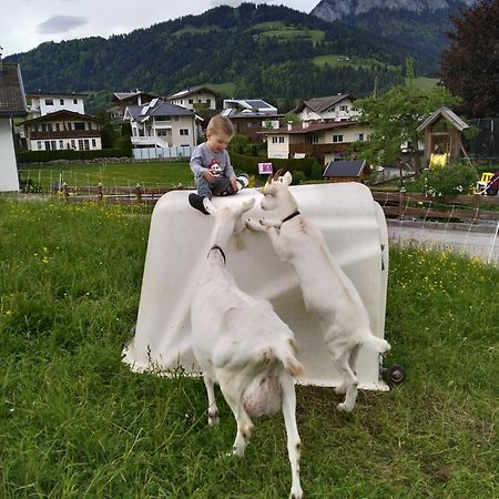 伊特尔毛勒霍夫伊特旅馆别墅 外观 照片