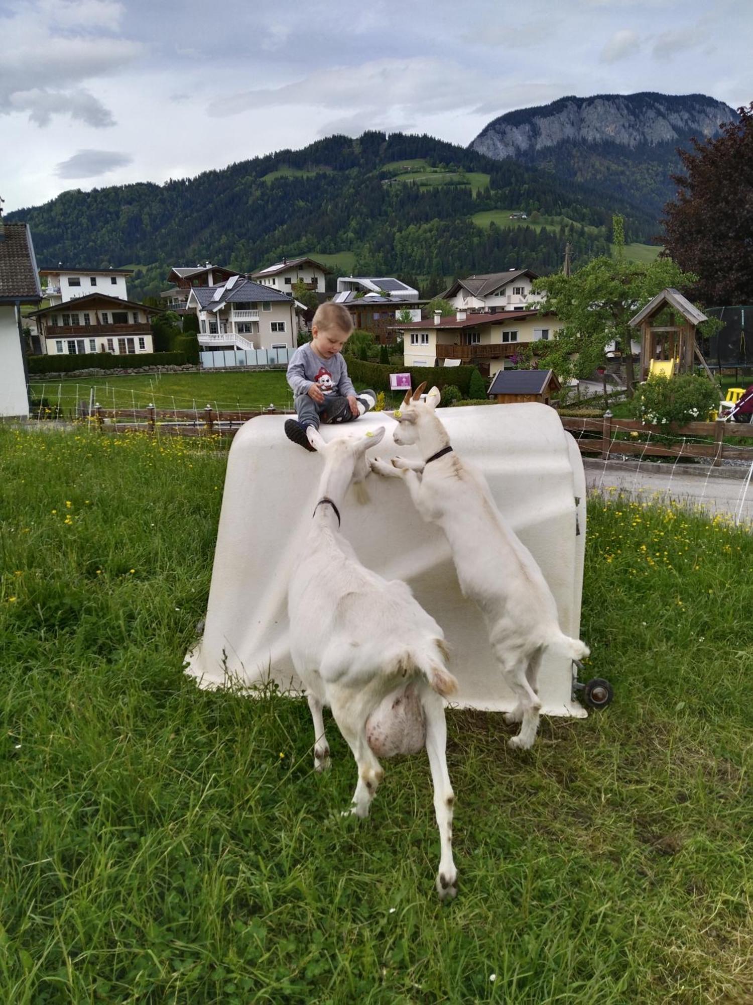 伊特尔毛勒霍夫伊特旅馆别墅 外观 照片